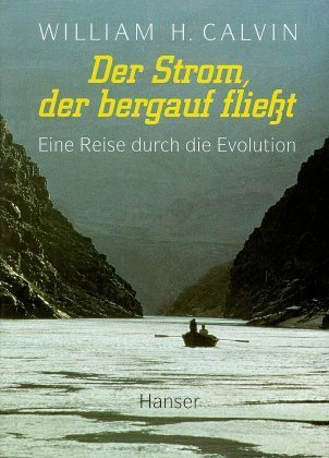 Calvin, Der Strom, der bergauf fliesst. (Einband)