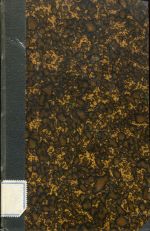 Ammann, Die Liturgie aller Zeiten, oder die christliche Kirche, wie sie gewesen, (Umschlag)