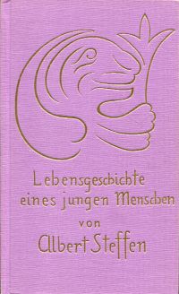 Steffen, Lebensgeschichte eines jungen Menschen. (Umschlag)