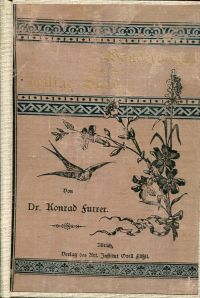 Furrer, Wanderungen durch das heilige Land. (Umschlag)