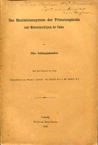 Schlaginhaufen, Das Hautleistensystem der Primatenplanta unter Mitberücksichtigu (Umschlag)