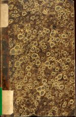 Tschachtlan, Berner-Chronik von dem Jahre 1421 bis in das Jahr 1466. (Umschlag)