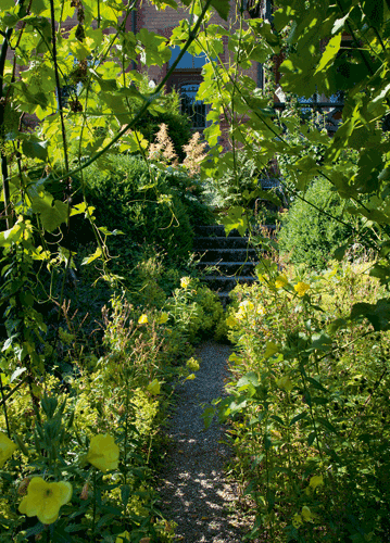 bildreich karten PK 1118: tausend wunder.