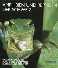 Meier, Amphibien und Reptilien der Schweiz. (Umschlag)
