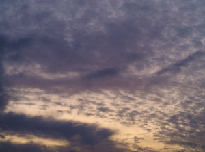 bildreich karten PK 229: spätes licht II.