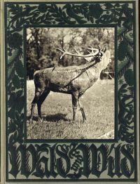 Vetterli, Wald und Wild. (Umschlag)