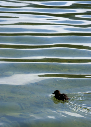 bildreich karten PK 634: von welle zu welle.