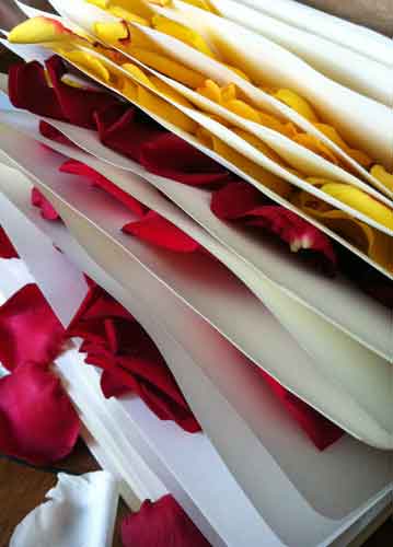 bildreich karten PK 660: rosentagebuch.