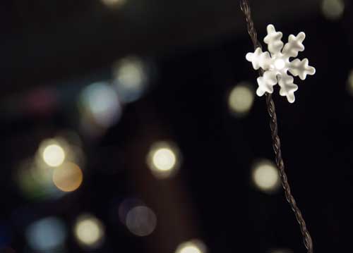 bildreich karten PK 759: schneestern.