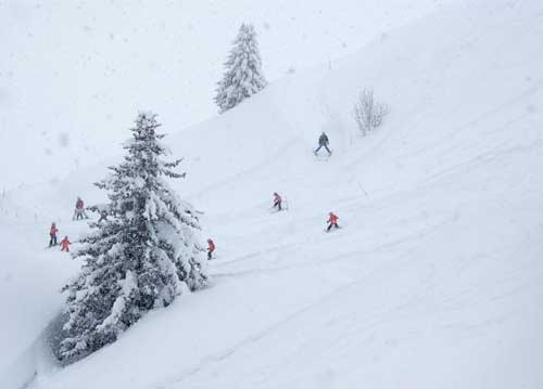 bildreich karten PK 784: sonntag im schnee.