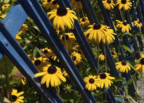 bildreich karten PK 801: sonnenlust.