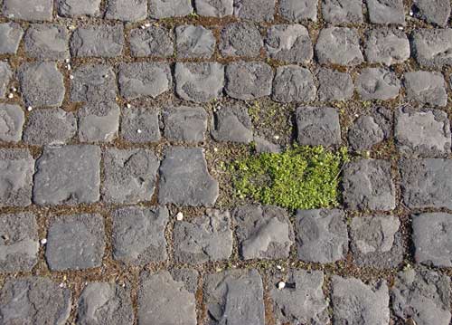 bildreich karten PK 830: eroberung.