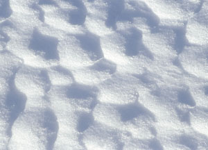 bildreich karten PK 68: schneestück IV.