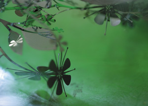 bildreich karten PK 376: firlefanz.