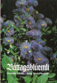 Schenker-Brechbühl, Bättagsblüemli. (Umschlag)