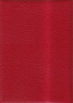 Bandi, Die schweizerischen Privatbahnen. (Umschlag)